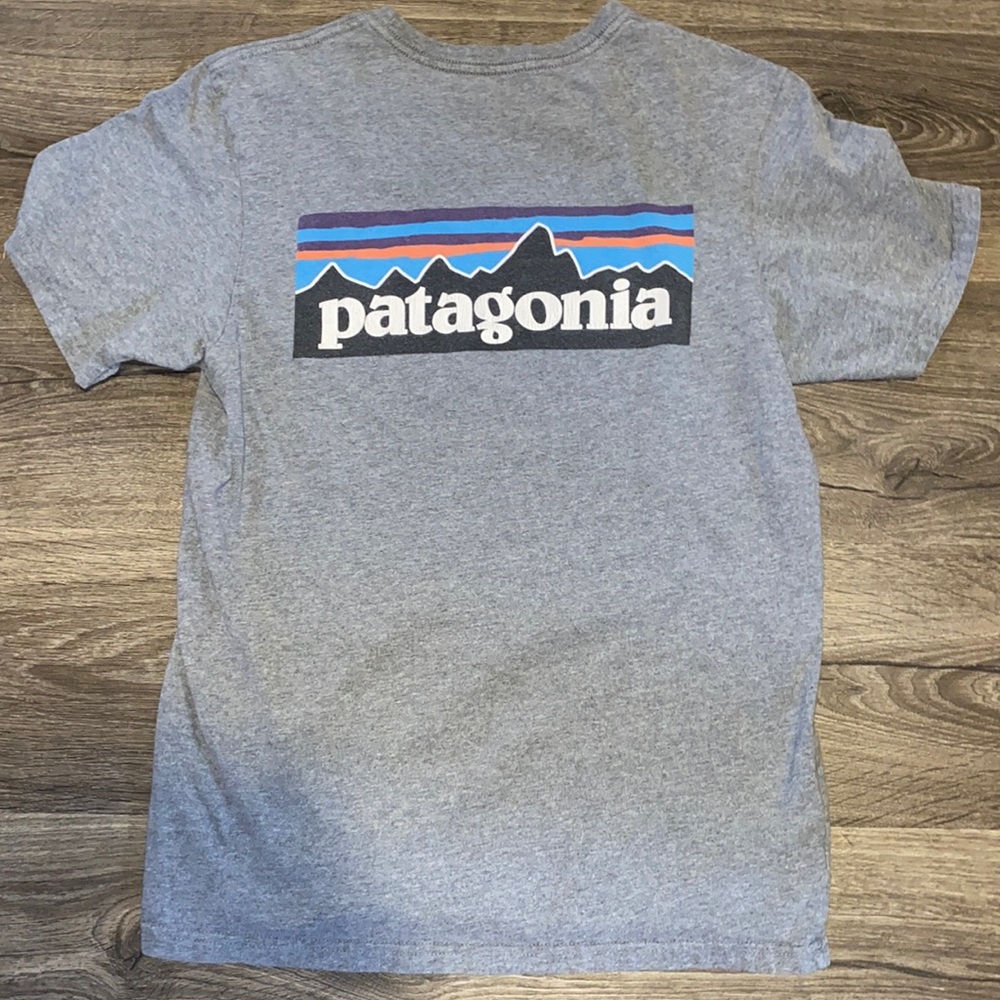 Patagonia Tshirt